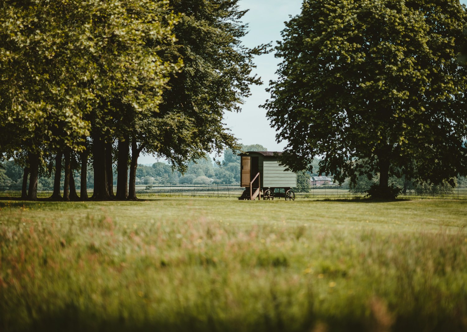 The Wren shepherd's hut in a sunlit meadow framed by trees
